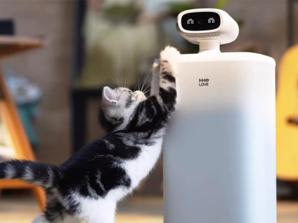 寵物喂食器攝像頭電機(jī)巡邏機(jī)轉(zhuǎn)向電機(jī)24BYJ48的應(yīng)用